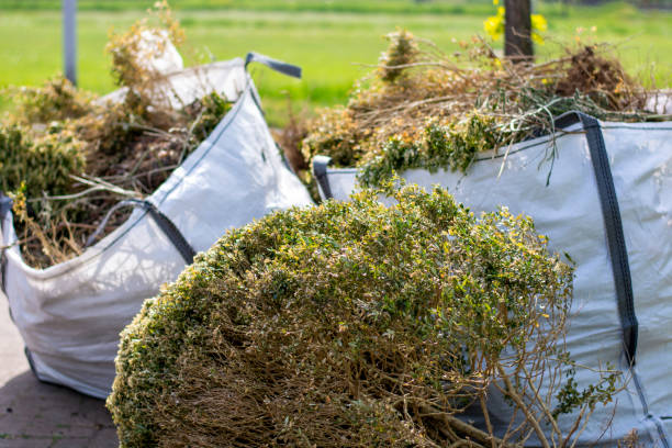 Debris Removal in Danville, VA